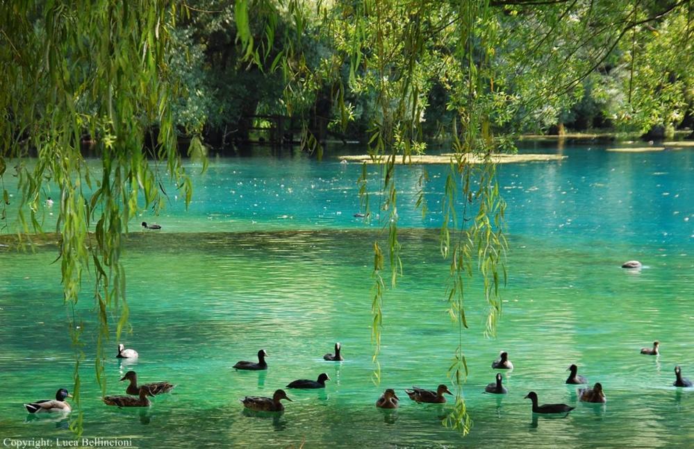 Casa Rosamari - Su Lago Di Posta Fibreno, Appartamento Con Camino Exterior foto